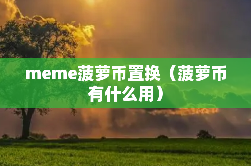 meme菠萝币置换（菠萝币有什么用）