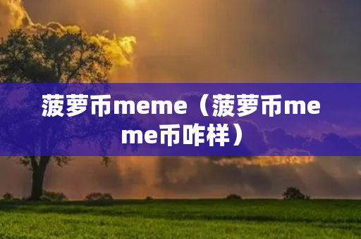 菠萝币meme（菠萝币meme币咋样）