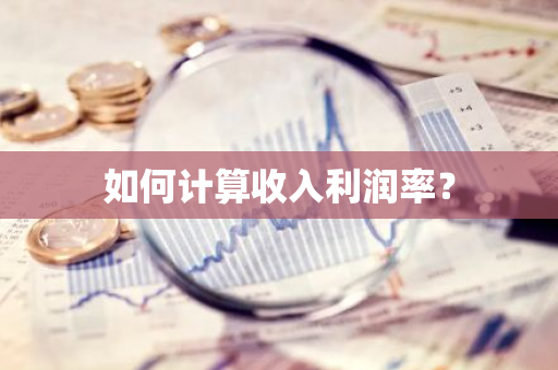 如何计算收入利润率？