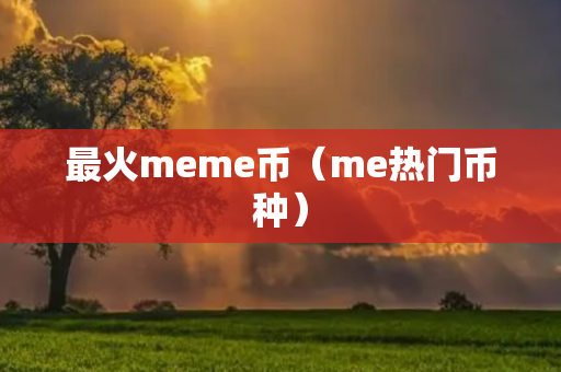 最火meme币（me热门币种）