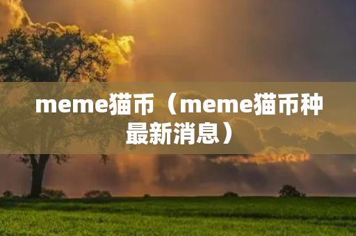 meme猫币（meme猫币种最新消息）