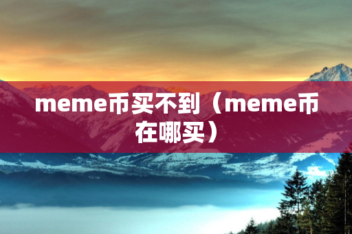 meme币买不到（meme币在哪买）