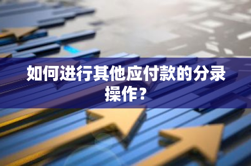 如何进行其他应付款的分录操作？