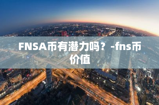 FNSA币有潜力吗？-fns币价值