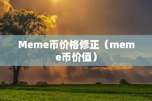 Meme币价格修正（meme币价值）