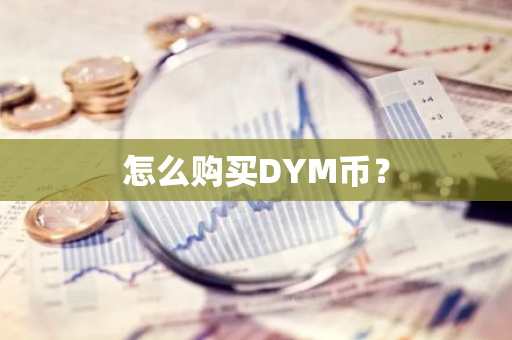 怎么购买DYM币？