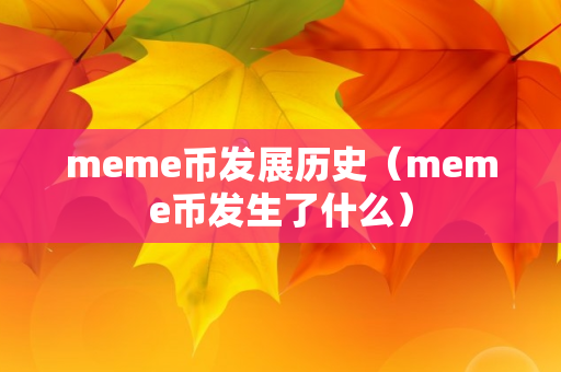 meme币发展历史（meme币发生了什么）