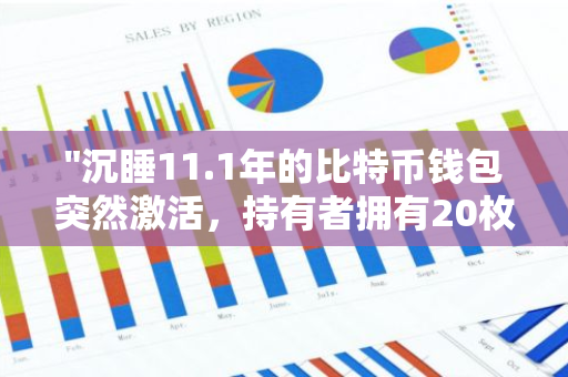 "沉睡11.1年的比特币钱包突然激活，持有者拥有20枚BTC：加密货币市场的新动态"