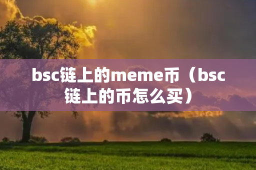 bsc链上的meme币（bsc链上的币怎么买）