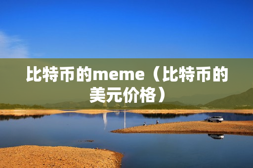 比特币的meme（比特币的美元价格）