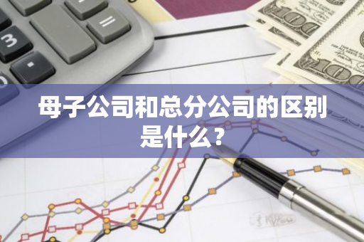 母子公司和总分公司的区别是什么？