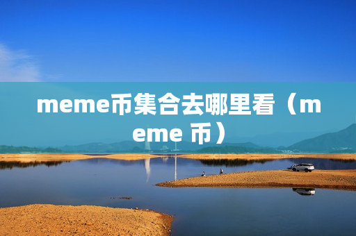 meme币集合去哪里看（meme 币）