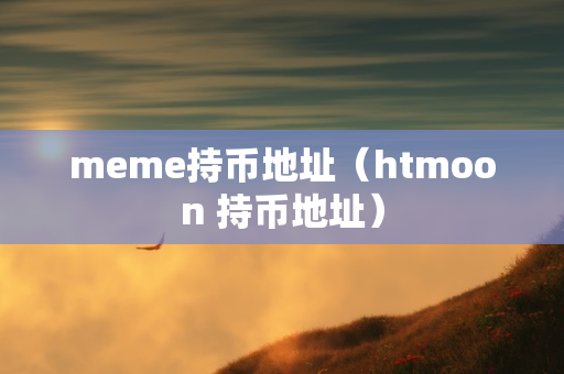 meme持币地址（htmoon 持币地址）