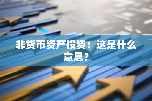 非货币资产投资：这是什么意思？