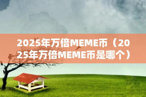 2025年万倍MEME币（2025年万倍MEME币是哪个）