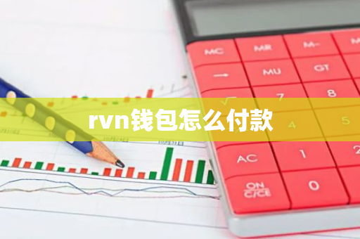 rvn钱包怎么付款