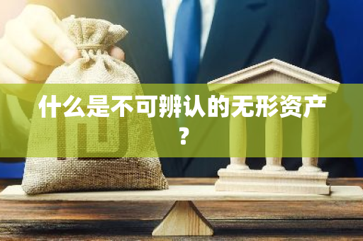 什么是不可辨认的无形资产？