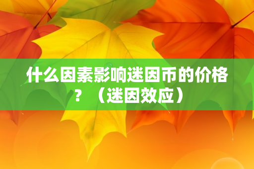 什么因素影响迷因币的价格？（迷因效应）