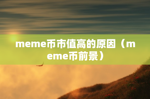 meme币市值高的原因（meme币前景）