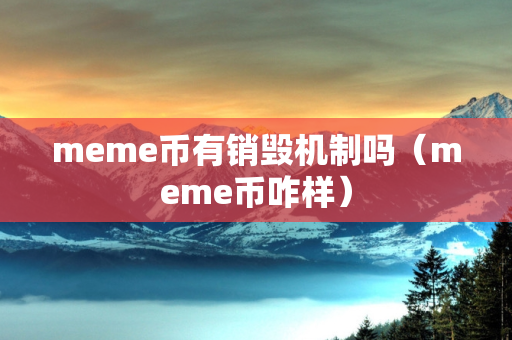 meme币有销毁机制吗（meme币咋样）