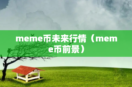 meme币未来行情（meme币前景）