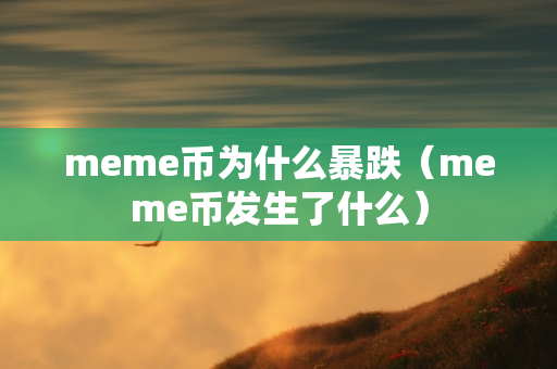 meme币为什么暴跌（meme币发生了什么）