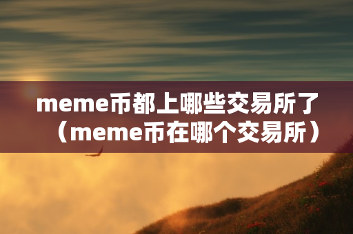 meme币都上哪些交易所了（meme币在哪个交易所）