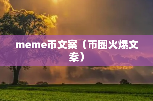 meme币文案（币圈火爆文案）