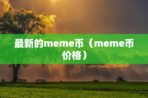 最新的meme币（meme币价格）