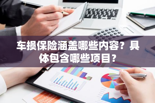 车损保险涵盖哪些内容？具体包含哪些项目？