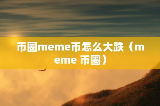 币圈meme币怎么大跌（meme 币圈）