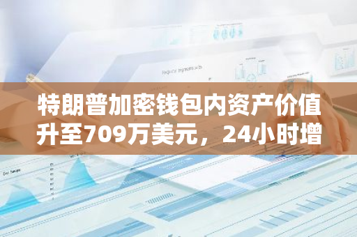 特朗普加密钱包内资产价值升至709万美元，24小时增长了177万美元