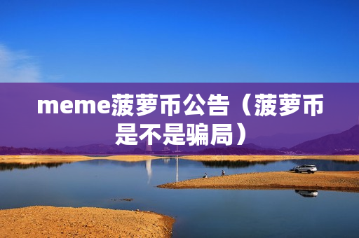 meme菠萝币公告（菠萝币是不是骗局）