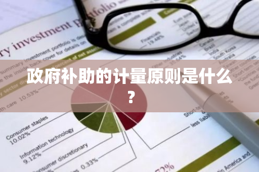 政府补助的计量原则是什么？