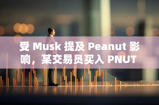 受 Musk 提及 Peanut 影响，某交易员买入 PNUT 12 小时后获利超 12 倍