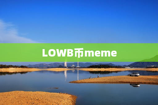 LOWB币meme