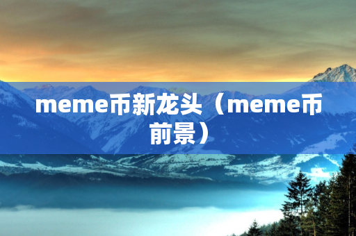 meme币新龙头（meme币前景）