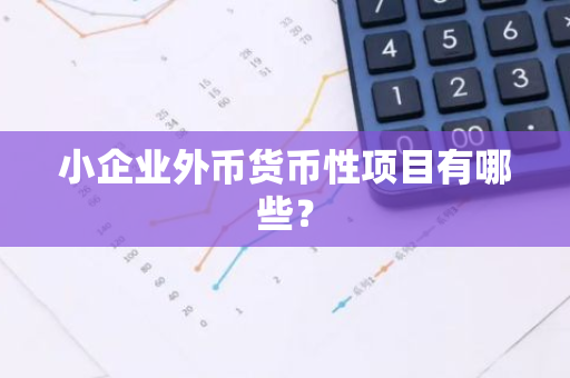 小企业外币货币性项目有哪些？