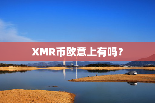 XMR币欧意上有吗？