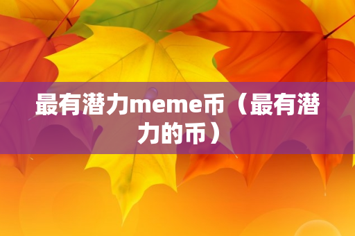 最有潜力meme币（最有潜力的币）