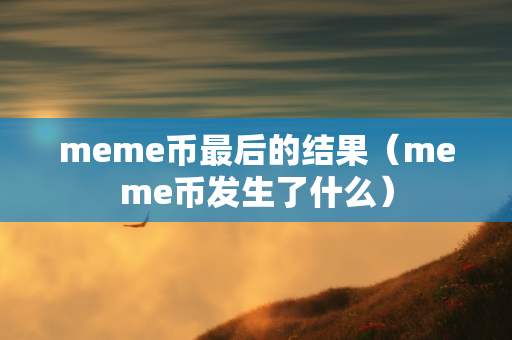 meme币最后的结果（meme币发生了什么）