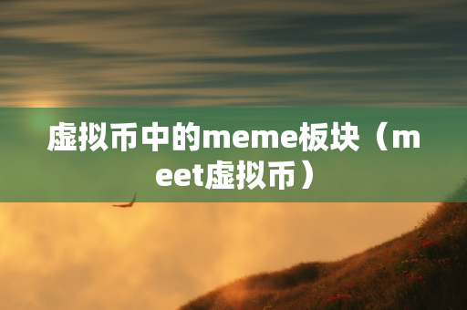 虚拟币中的meme板块（meet虚拟币）