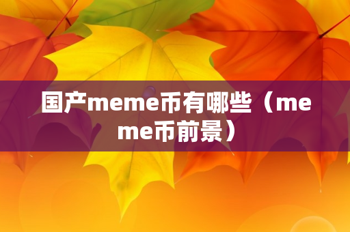 国产meme币有哪些（meme币前景）