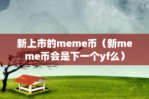 新上市的meme币（新meme币会是下一个yf么）