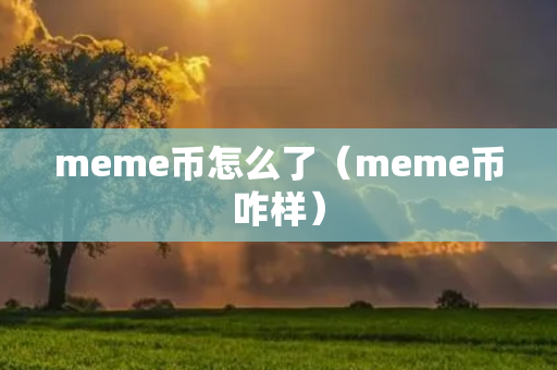 meme币怎么了（meme币咋样）