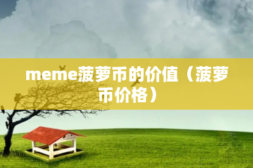 meme菠萝币的价值（菠萝币价格）