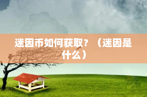 迷因币如何获取？（迷因是什么）