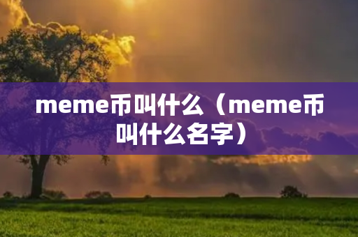 meme币叫什么（meme币叫什么名字）