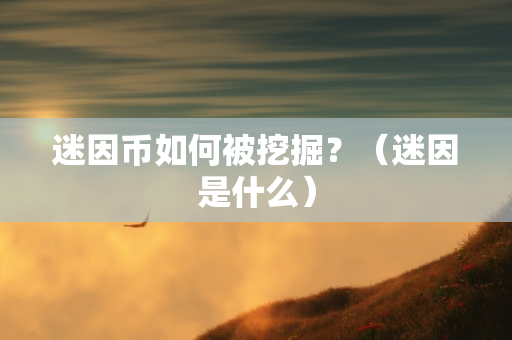 迷因币如何被挖掘？（迷因是什么）