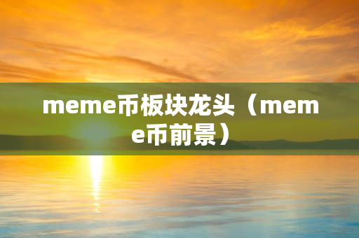 meme币板块龙头（meme币前景）